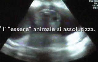 ANIMA(le)